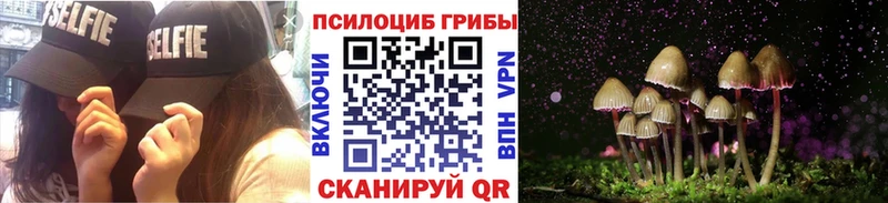 Псилоцибиновые грибы MAGIC MUSHROOMS  Боготол 